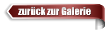 zurück zur Galerie